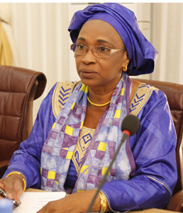 Bisbilles entre Madame la ministre des Finances et le député de Yélimané : Bouaré Fily Sissoko met l’Honorable Gassama dans ses petits souliers