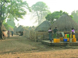 Développement rural : place du bétail ruminant dans les politiques de développement