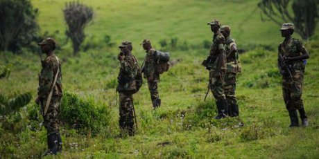 RDC: l’armée, décidée à en finir, attaque le dernier réduit rebelle