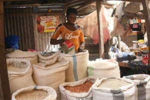 Campagne agricole : évaluation provisoire du SAP