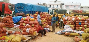 Dakar et Bamako font le bonheur des agriculteurs
