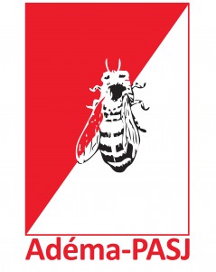 L’alliance ADEMA – MPR – URD affole les compteurs à Dianeguela