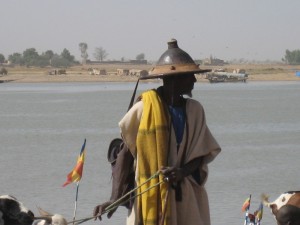 Extraits : « Les Divinations du Renard » La fortune du roi