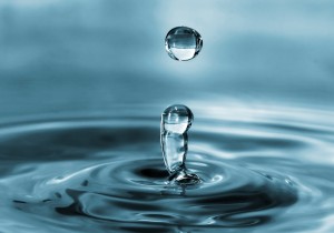 Water- aid Mali célèbre une collaboratrice : Aline sur le départ