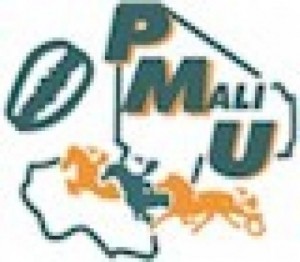 Lutte contre la corruption : Les dessous de l’interpellation du PDG de PMU-MALI