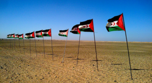 SECURITE & DEVELOPPEMENT : UNE STRATÉGIE COHÉRENTE DE L’UE POUR LE SAHEL-IV-