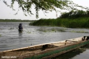 Système Faguibine : Qui pour remplacer Tidiani Ascofaré ?