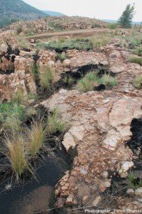 Diéma : L’érosion rogne les terres