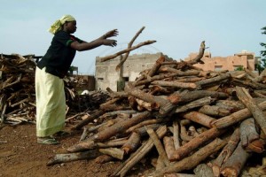 Droits des femmes au Mali : Les violences sur les femmes continuent