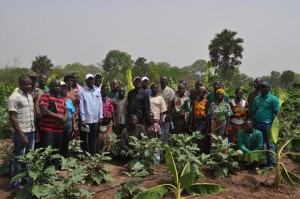 4ème Session du Comité National de Pilotage du PPAAO : Faire de l’agriculture le moteur de la croissance économique