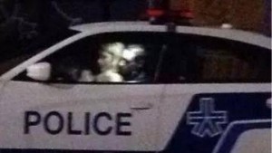 Un policier pris en photo en plein acte sexuel dans sa voiture de service