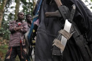 RDC: reddition d’une centaine de rebelles hutu rwandais dans l’est