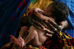 Imbroglio à l’Hippodrome : deux « pères » baptisent un nouveau- né