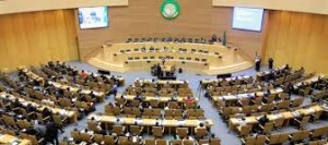 Sommet de l’Union africaine à Malabo : LA VALORISATION DE L’AGRICULURE AU CENTRE DES DISCUSSIONS