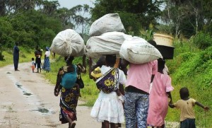 Kenya: au moins un mort dans une attaque à la grenade dans le nord-est