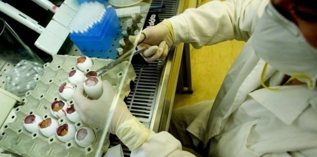 laboratoire veterinaire medecin teste analyse