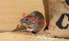no image posts