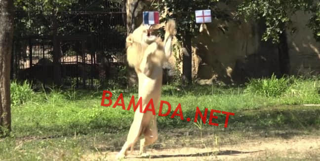 no image posts